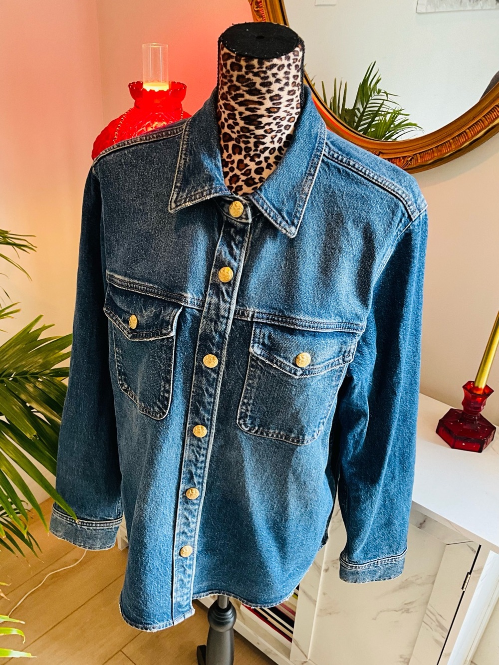 Express Denim Top Golden Buttons